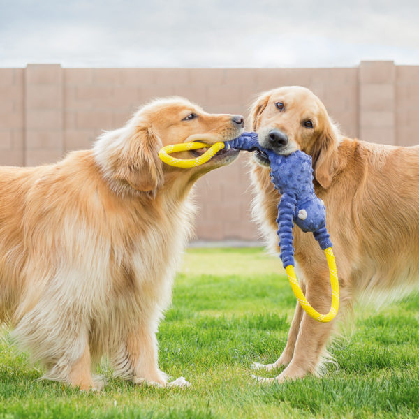 P.L.A.Y. Canine Commute Taxi Dog Toy